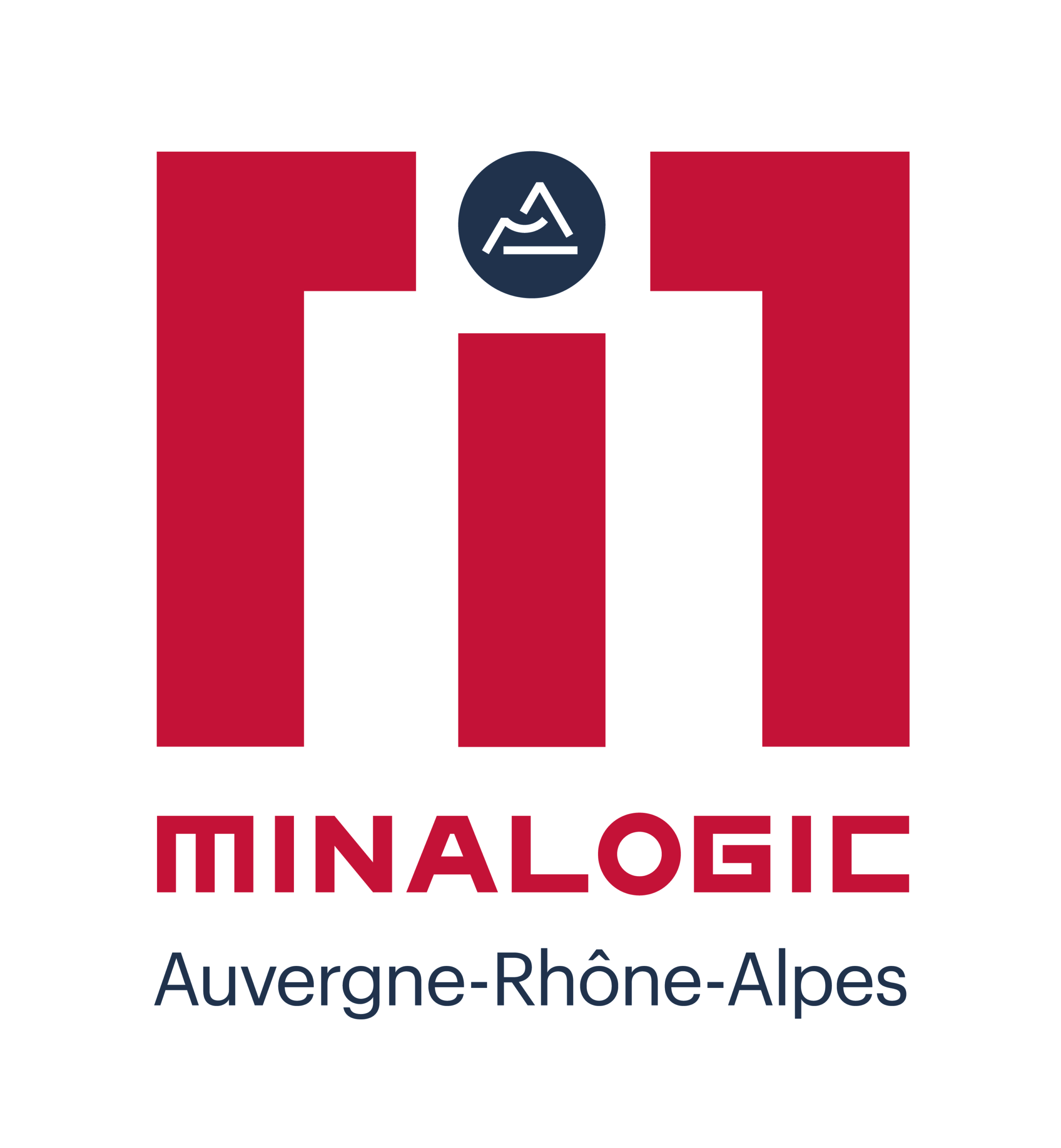 Logo Minalogic